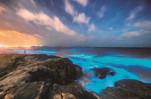 图片默认标题_fororder_26