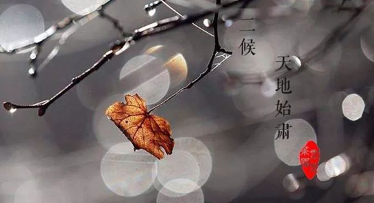 จีนย่างเข้าฤดูกาล "ชู่สู่"_fororder_20210823-2_副本