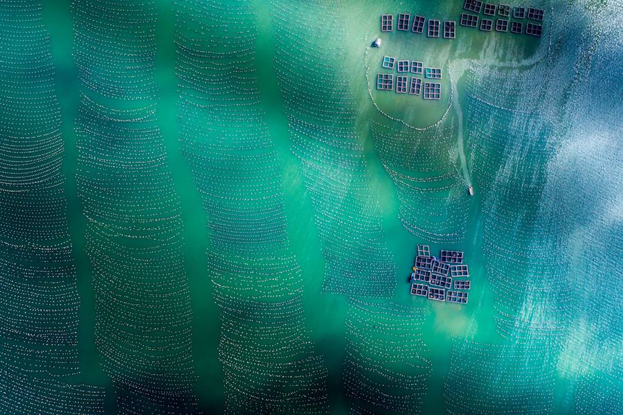 探访福建连江海上牧场：舟楫为马 海洋为田