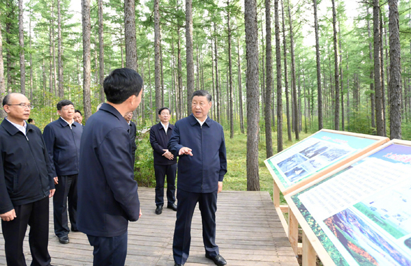 ​​​​​​​Pangulong Tsino, naglakbay-suri sa forest farm sa probinsyang Hebei_fororder_20210824XiHubei6600