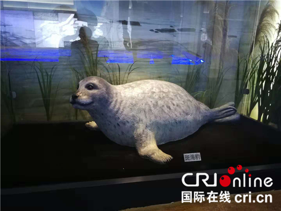 (供稿 社會廣角列表 三吳大地南通 移動版)南通企業家周士輝榮膺“2019年度中國海洋人物”稱號