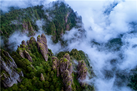 【湖北】【供稿】湖北神農架景區2019旅遊推介會在京舉辦