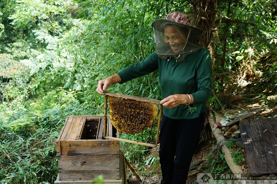 廣西桂林：農旅融合興産業 拓寬瑤鄉致富路