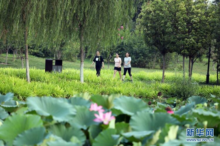 河北河間：建設城市遊園 促進生態發展