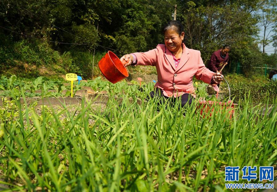 江西贛州：生態農業促脫貧