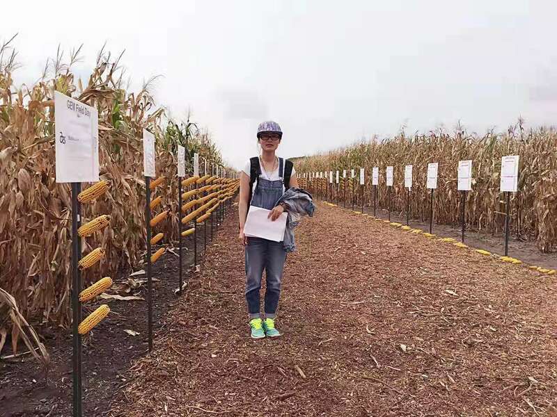 Ren Jiaojiao, masaniyar kasar Sin da ke aikin binciken masara a "garin" masara_fororder_rjj2