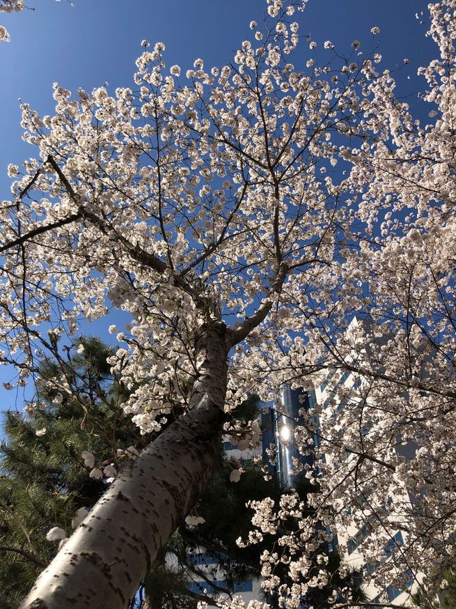 图片默认标题_fororder_1435984914