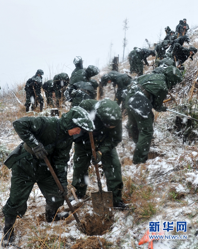 【网络媒体走转改】深山住一周 千名武警将种下70万株树苗