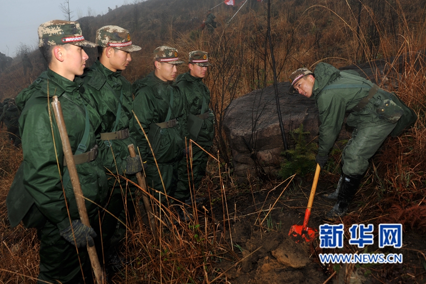 【网络媒体走转改】深山住一周 千名武警将种下70万株树苗