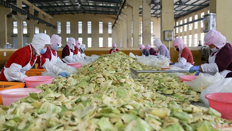 南靖龙山食品工业： 政企抱团取暖共促市场复苏