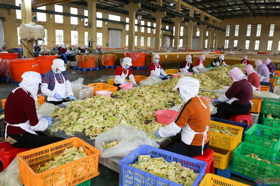 南靖龙山食品工业： 政企抱团取暖共促市场复苏