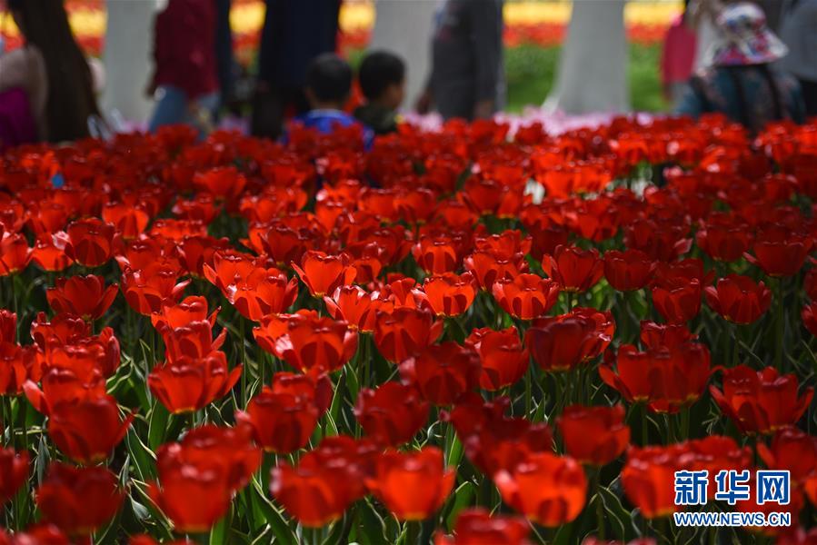 青海西宁：市民出门享绿意