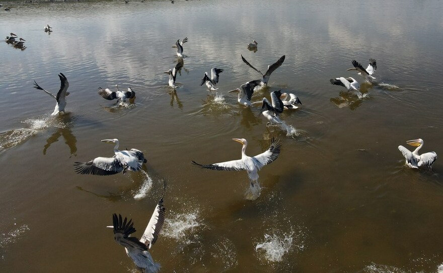 Feature: Turkey's Lake Mogan faces rising threat from urban development_fororder_2