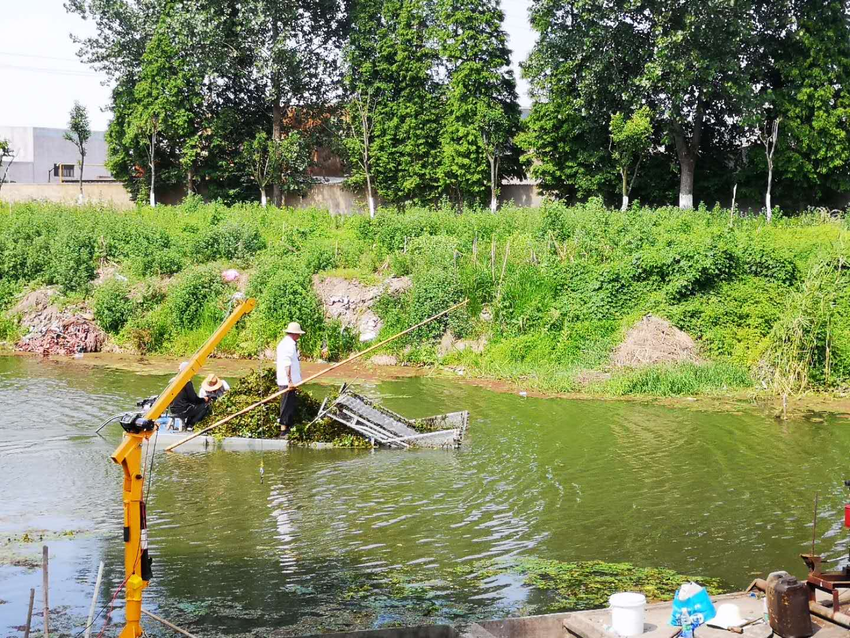 （供稿 環保列表 chinanews帶圖列表 移動版）泰州興化戴南鎮水上保潔隊河道清理機械化