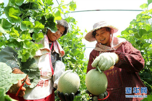 图片默认标题_fororder_1124606487_15602180210311n