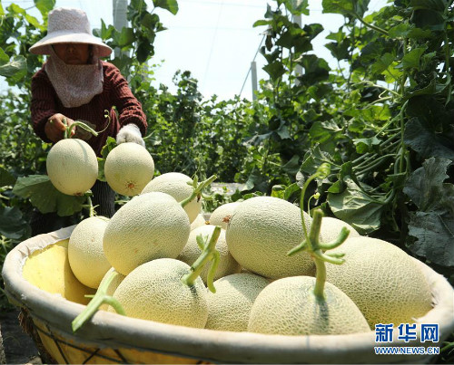 图片默认标题_fororder_1124606487_15602180210641n