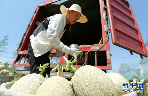 图片默认标题_fororder_1124606487_15602180210991n