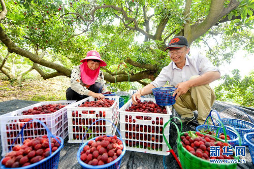 图片默认标题_fororder_1124606487_15602180211231n