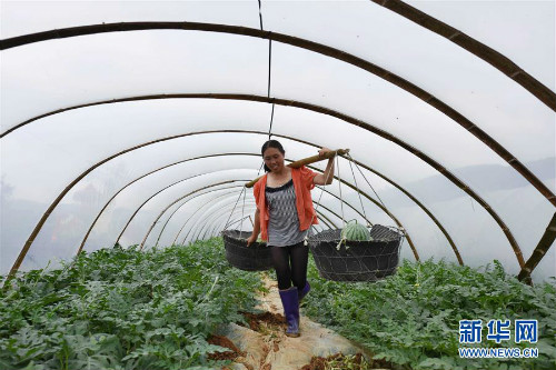 图片默认标题_fororder_1124606487_15602180212401n