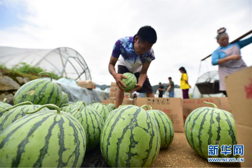 图片默认标题_fororder_1124606487_15602180212151n