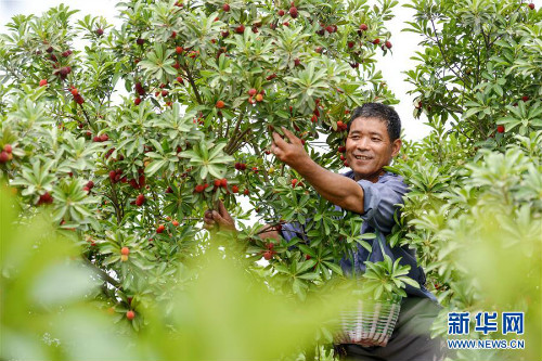 图片默认标题_fororder_1124606487_15602180211581n