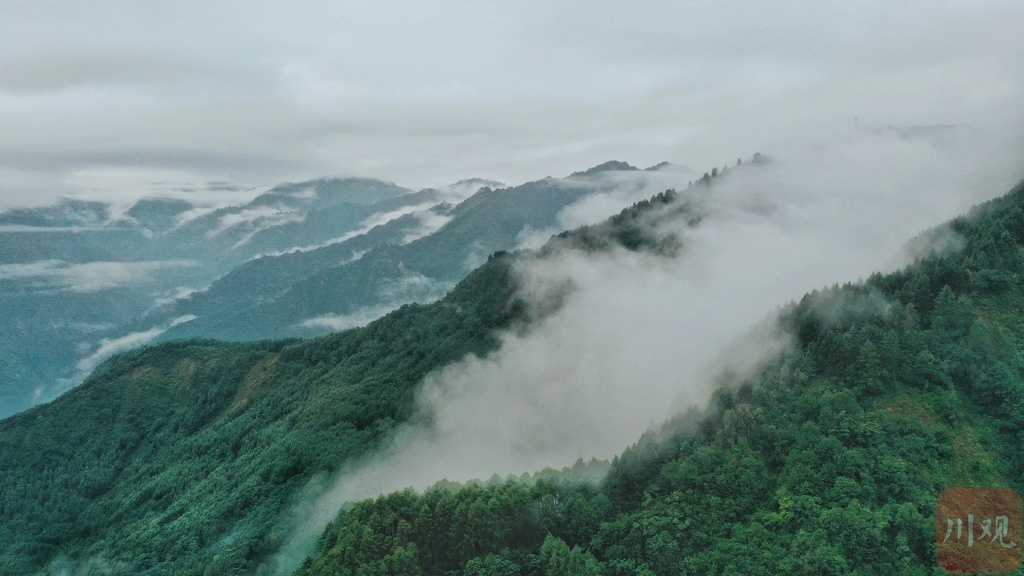 （中首）動如煙，靜如絮，秋後汶川山中雲霧繚繞