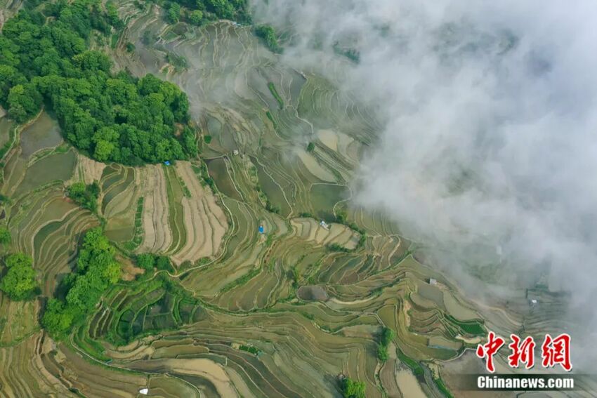 দেখুন, ইয়ুননান প্রদেশের প্রাকৃতিক ঐতিহ্য  --দ্বিতীয় পর্ব_fororder_8214224936044175306
