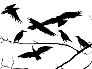 오합지중(烏合之衆)