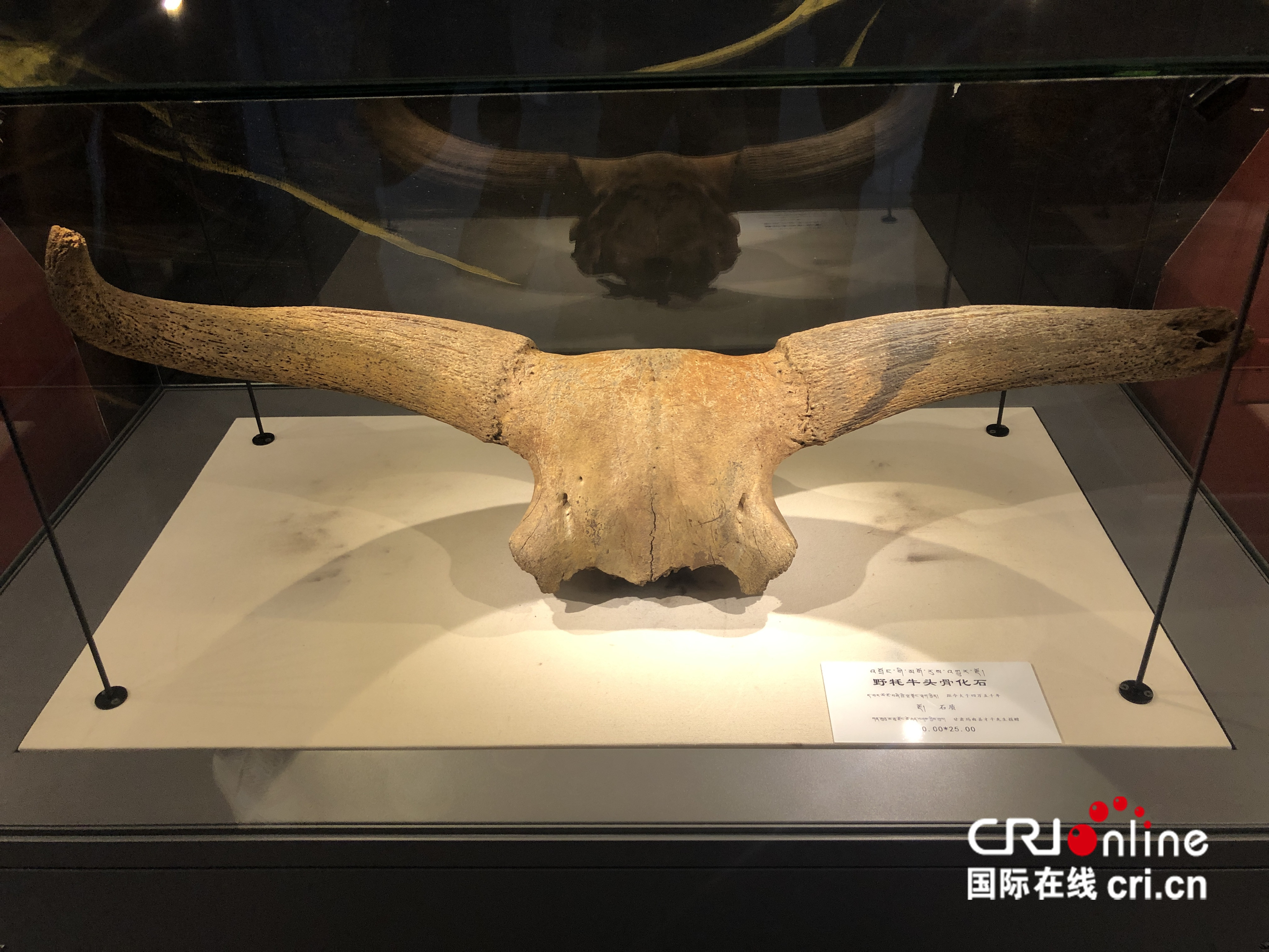 圖片默認標題_fororder_IMG_7150