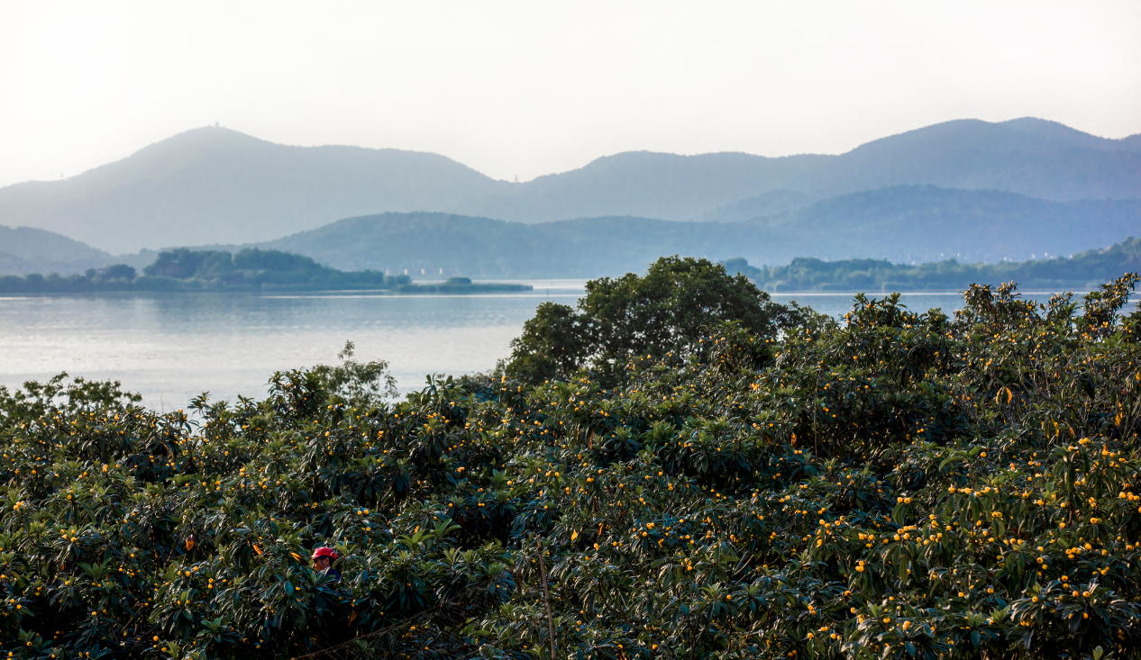 苏州东山：山水藏天地 四时皆盛景