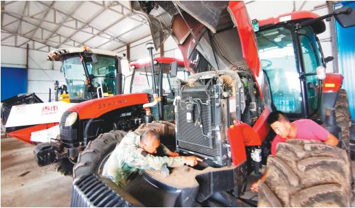 沈阳市康平县：玉米有机 生活有味_fororder_玉米1