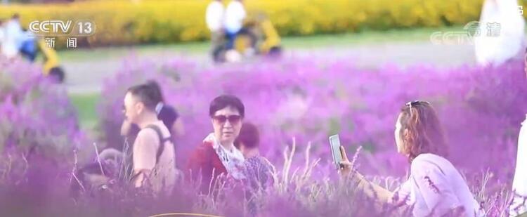 【走进乡村看小康】云南弥勒：荒山变身花园 风光旖旎如画