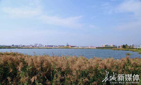 “黄骅市盐碱地生态修复项目”获中国人居环境范例奖