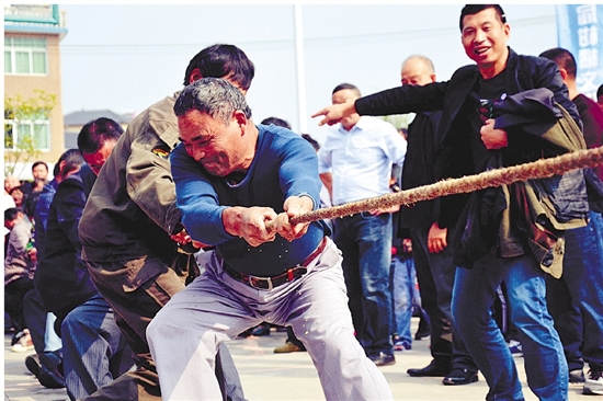 “滨湖小镇”界首：万亩柑橘艳枝头，民居民宿占鳌头