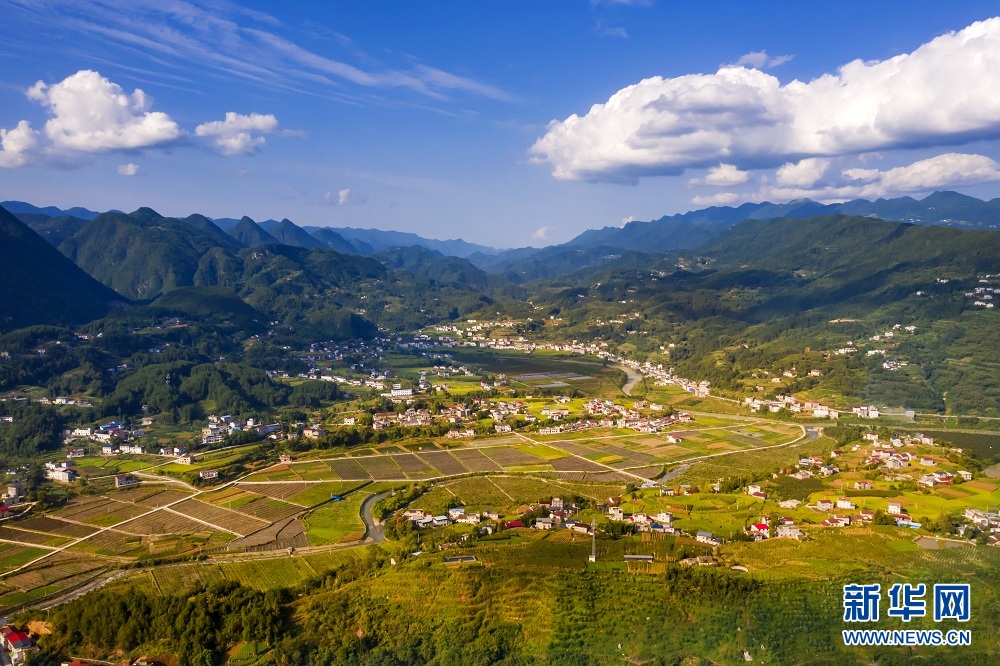 湖北建始：夕照白云村 山野尽染秋