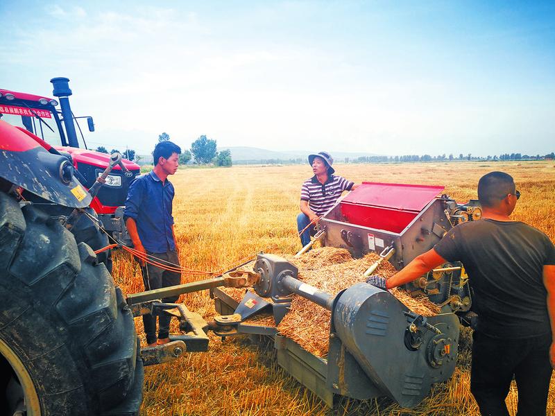 合作社成了“新麦客”的家