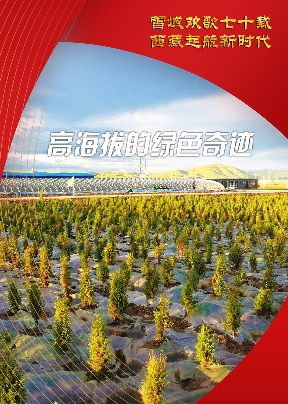 雪域歡歌70載·西藏啟航新時代｜曾經“沒有一棵樹的城市”，如今有了一片“科技林”