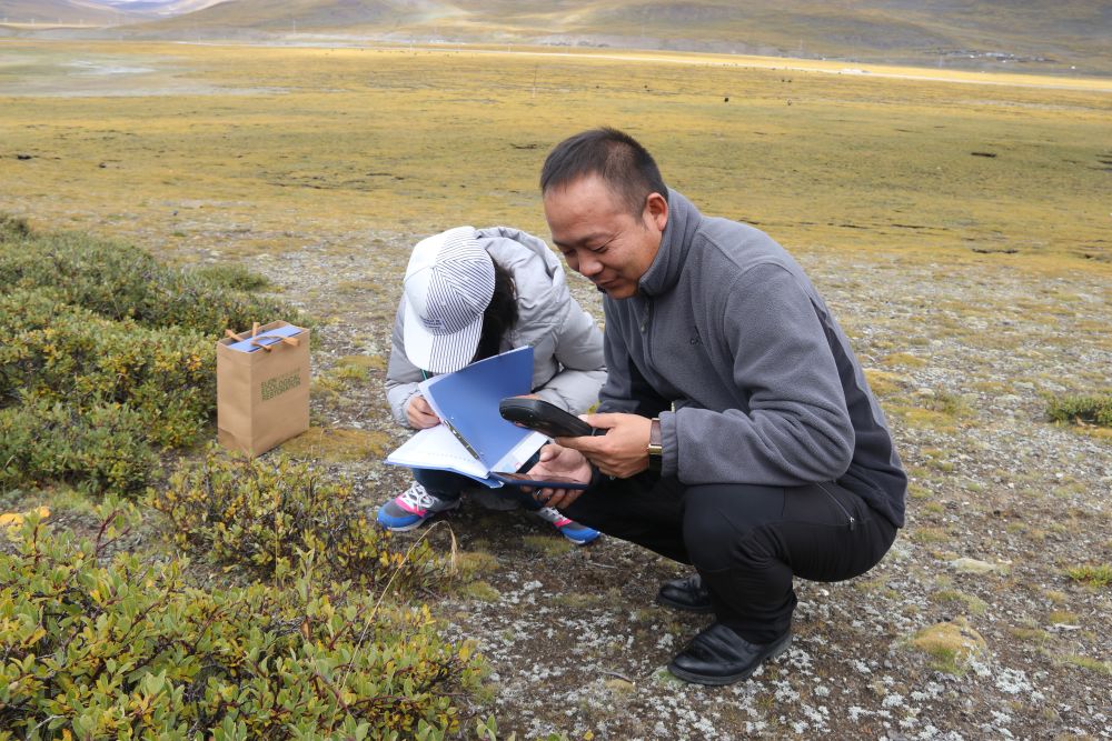 雪域歡歌70載·西藏啟航新時代｜曾經“沒有一棵樹的城市”，如今有了一片“科技林”