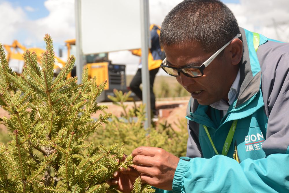 雪域歡歌70載·西藏啟航新時代｜曾經“沒有一棵樹的城市”，如今有了一片“科技林”