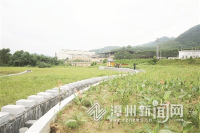 平和濕地公園：階梯式凈化工業尾水變“好水”