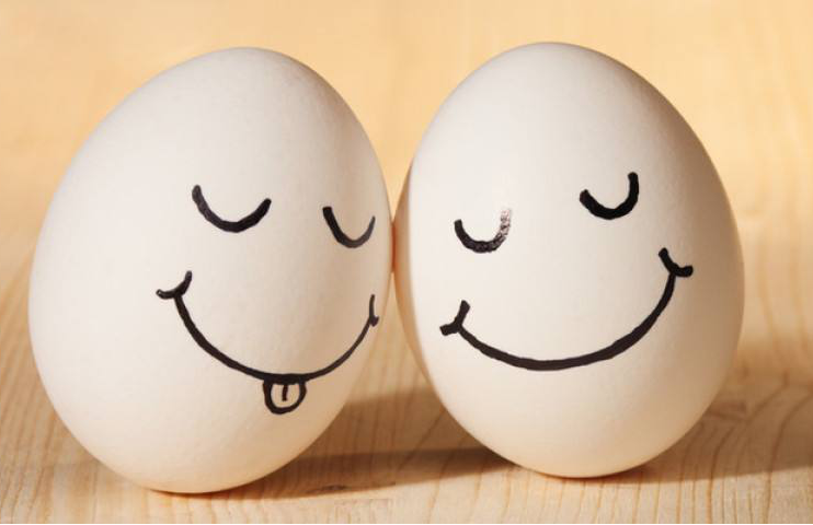 鸡蛋有大有小？专家建议应重视鸡蛋安全与品质