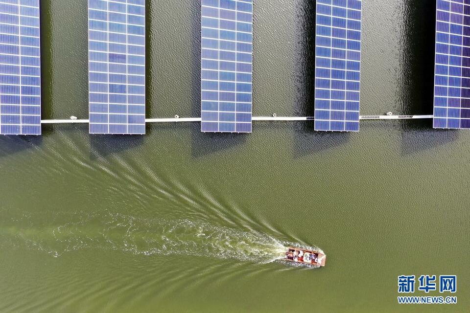 山东滨州：“渔光一体”提升水产养殖效益_fororder_2