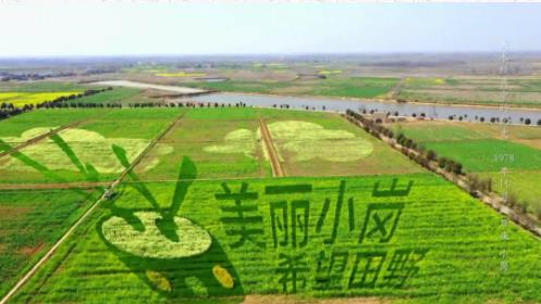 一张“生死契约”点燃中国农村改革之火 |《美术经典中的党史》邀您走进油画《1978年11月24日夜·小岗》……