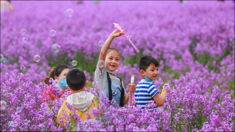 图片默认标题_fororder_200507lanxiangjie1