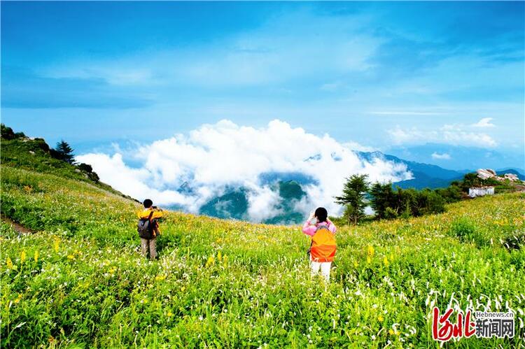 河北阜平：綠水青山就是金山銀山