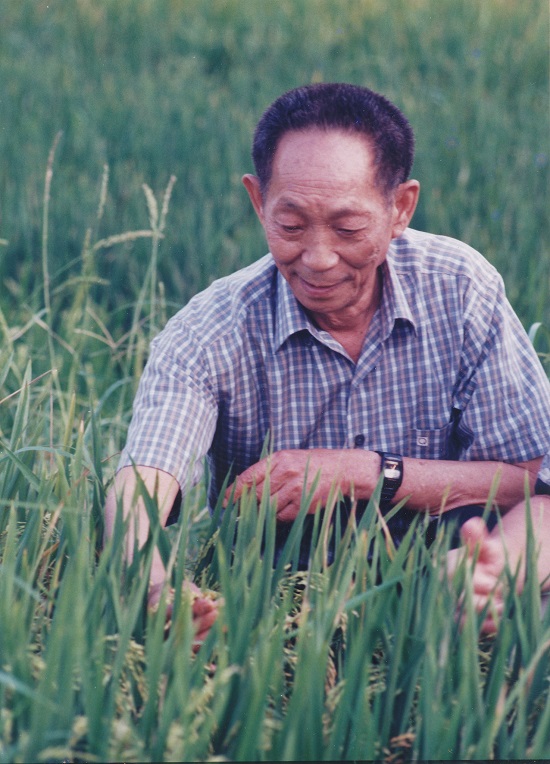 Ngayong araw sa kasaysayan: Setyembre 7, 1930, kapanganakan ni Yuan Longping, bantog na siyentistang agrikultural; Tsina at Pilipinas, sabay na ginunita si Yuan_fororder_20210907Yuanpic600