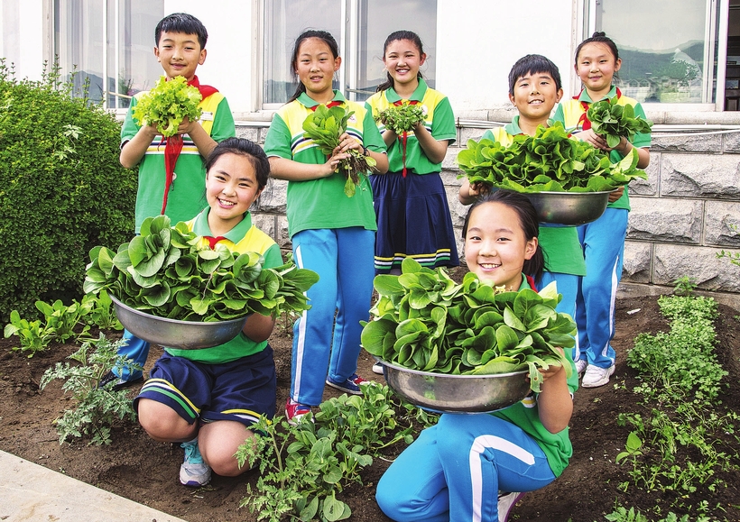 通化集安市實驗小學創建農作物種植園