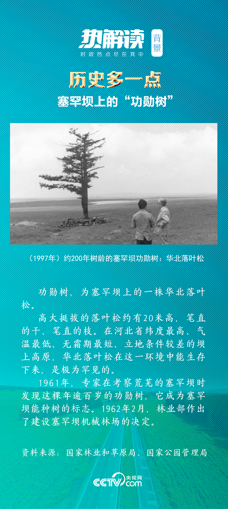 热解读｜从一棵树到一片“海” 塞罕坝精神的“绿色接力”