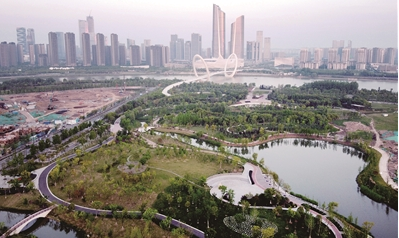 南京江心洲绿树葱葱 形成岛城绿链城市格局
