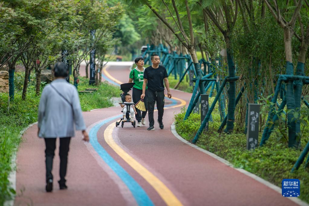 【城市遠洋帶圖】重慶南岸：苦竹溪生態修復顯成效